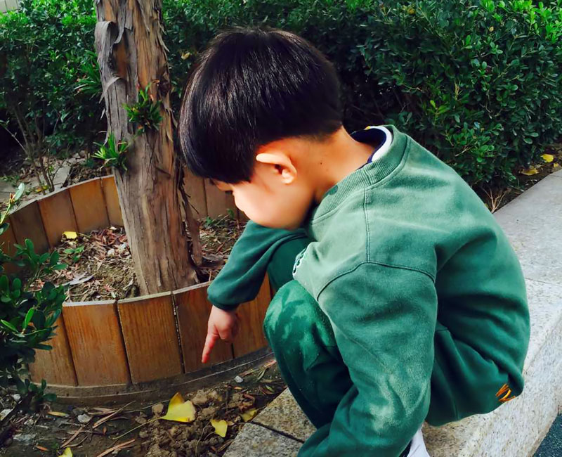 772634220268452793_副本.jpg 772634220268452793_副本.jpg